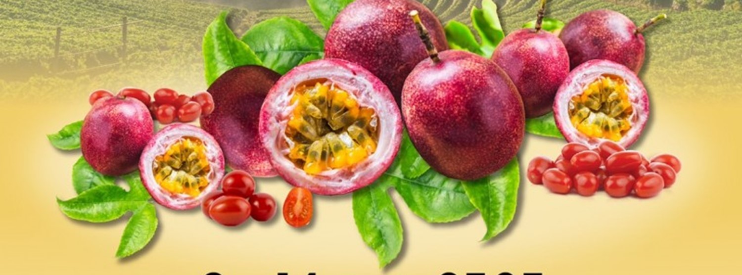 โครงการหลวง Royal Project Zipevent