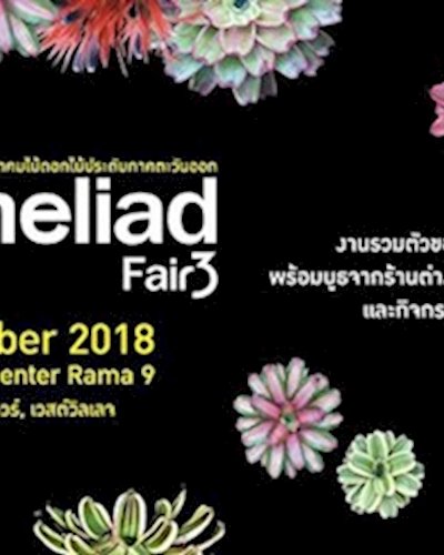 Thailand Bromeliad Fair ครั้งที่ 3 Zipevent