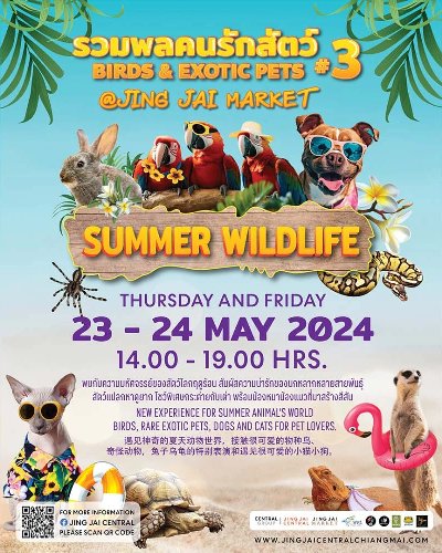 Birds & Exotic Pets @ Jing Jai Market ครั้งที่ 3 ตอน Summer Wildlife Zipevent
