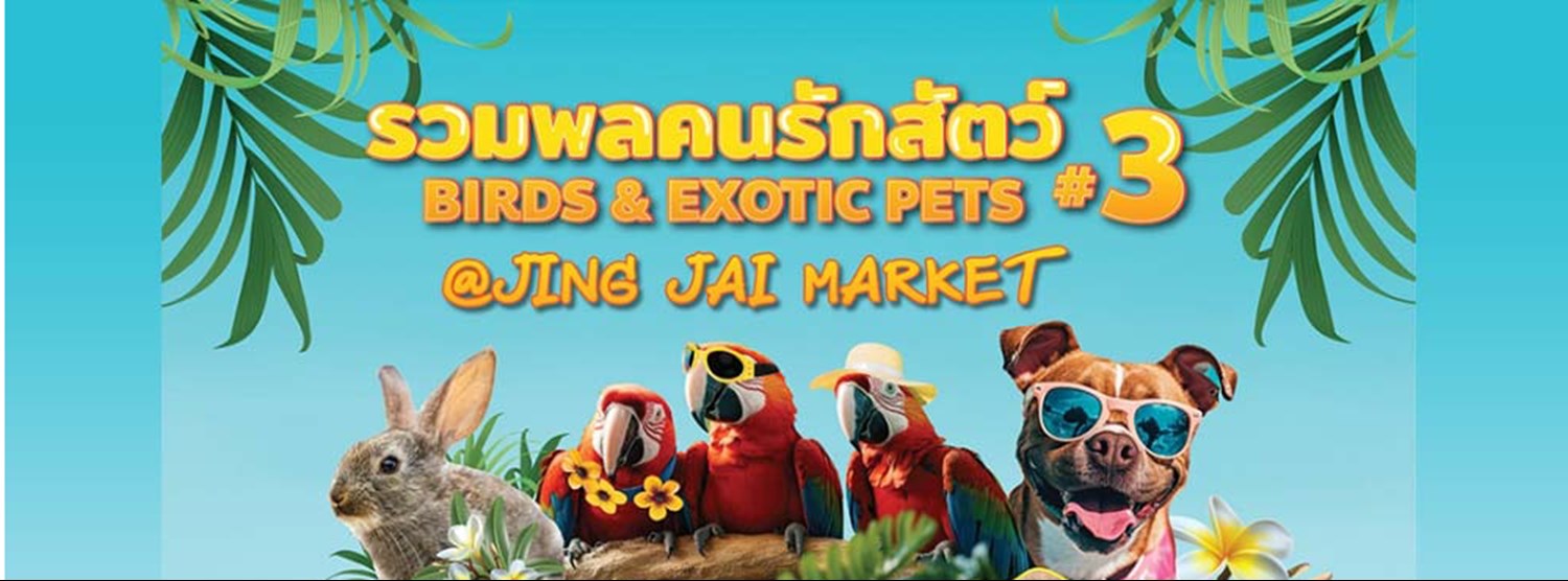 Birds & Exotic Pets @ Jing Jai Market ครั้งที่ 3 ตอน Summer Wildlife Zipevent