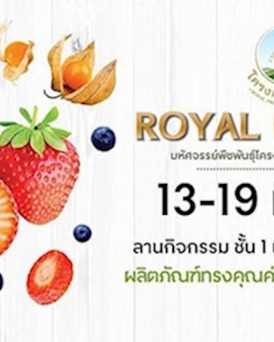 Royal Project มหัศจรรย์พืชพันธุ์โครงการหลวง จากดอยสู่เมือง Zipevent