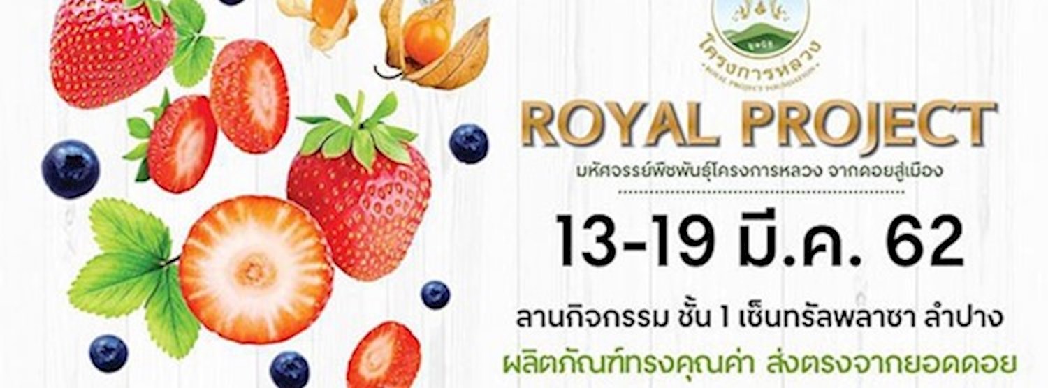Royal Project มหัศจรรย์พืชพันธุ์โครงการหลวง จากดอยสู่เมือง Zipevent