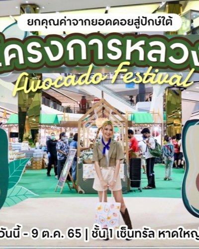โครงการหลวง Avocado Festival Zipevent