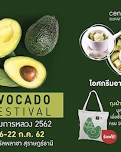 Avocado Festival โครงการหลวง 2562 Zipevent