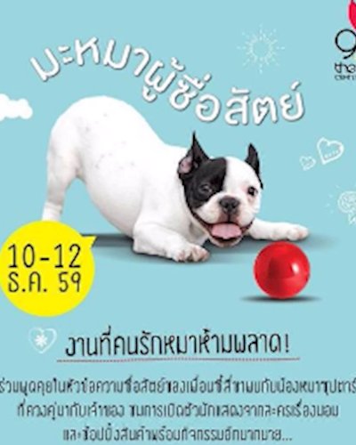 มะหมาผู้ซื่อสัตย์ Zipevent