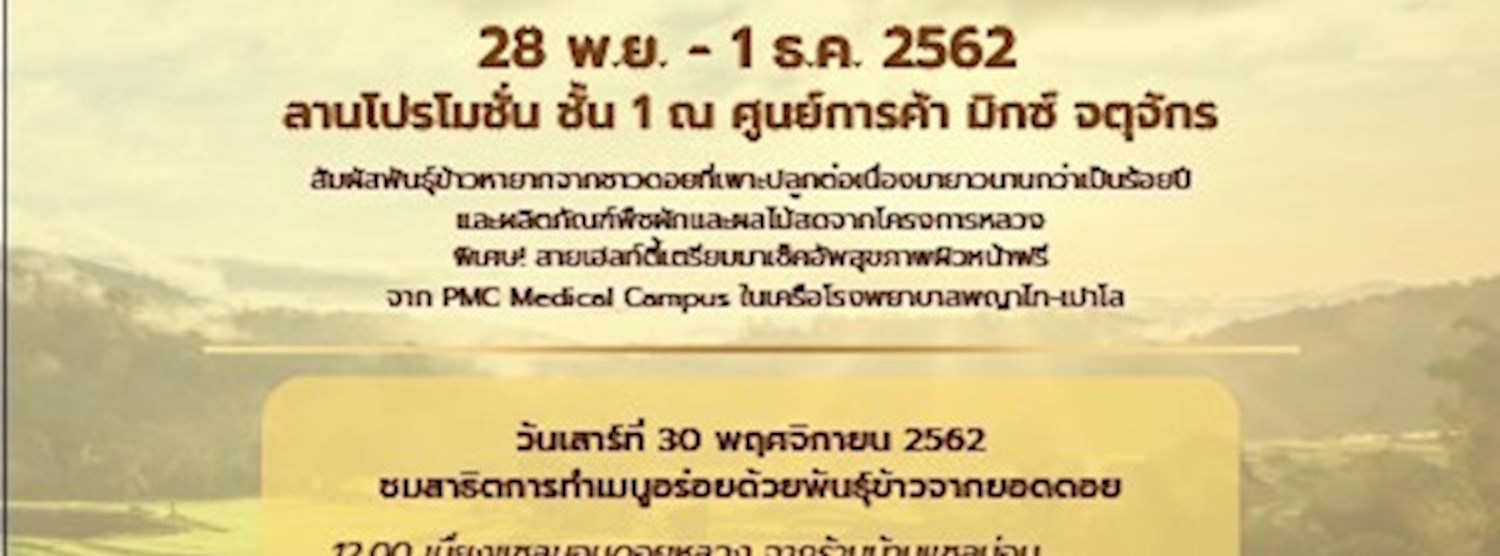 โครงการหลวง สืบสาน มหัศจรรย์พันธุ์ข้าวจากยอดดอย Zipevent