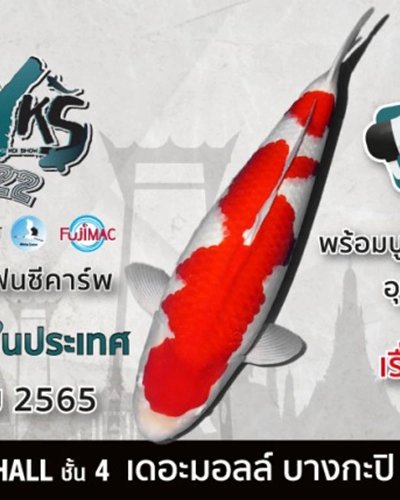 4th TNPA ALL THAILAND YOUNG KOI SHOW 2022 Zipevent