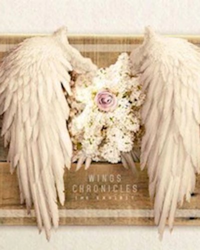 WINGS Chronicles The Exhibit Zipevent