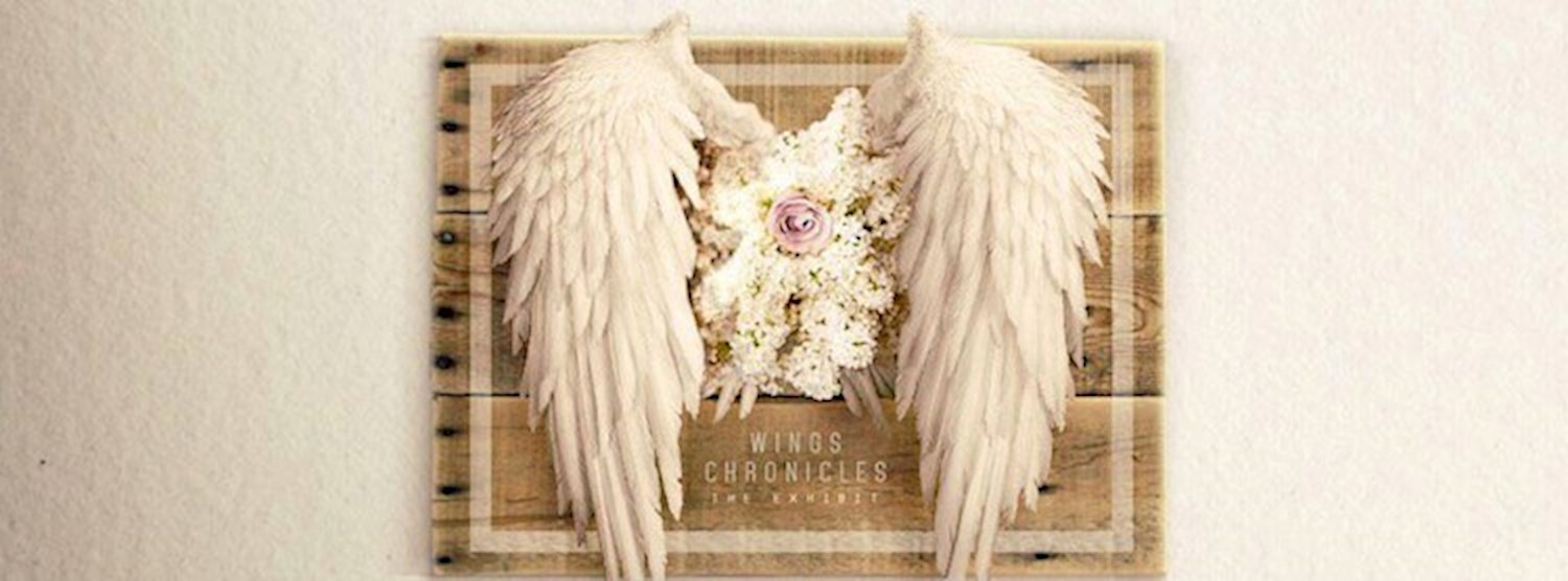 WINGS Chronicles The Exhibit Zipevent