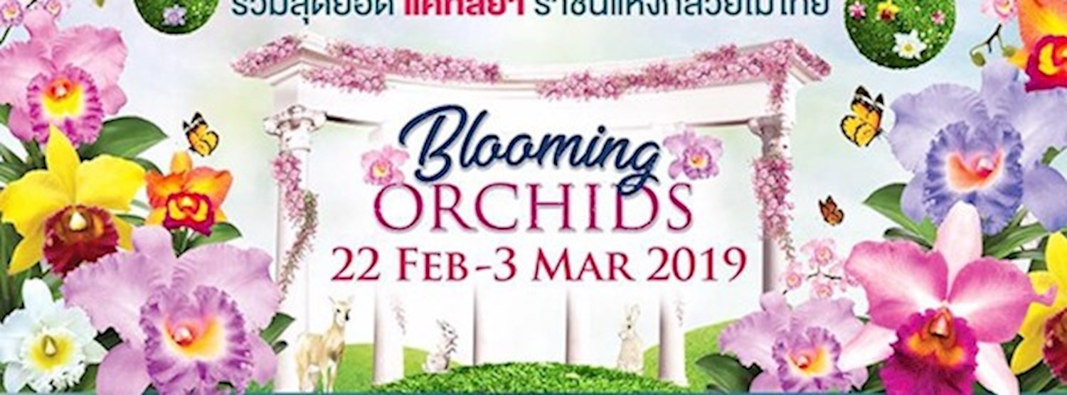 Blooming Orchids 2019 Zipevent