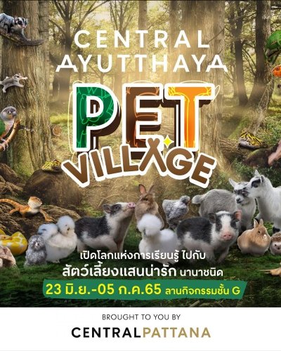 PET VILLAGE Zipevent