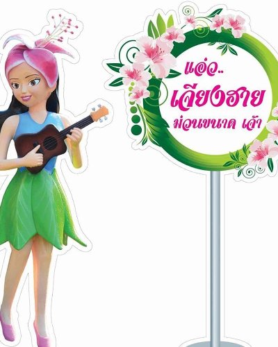 เชียงรายดอกไม้งาม Zipevent