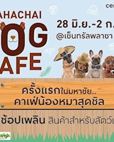 Mahachai Dog Café Zipevent