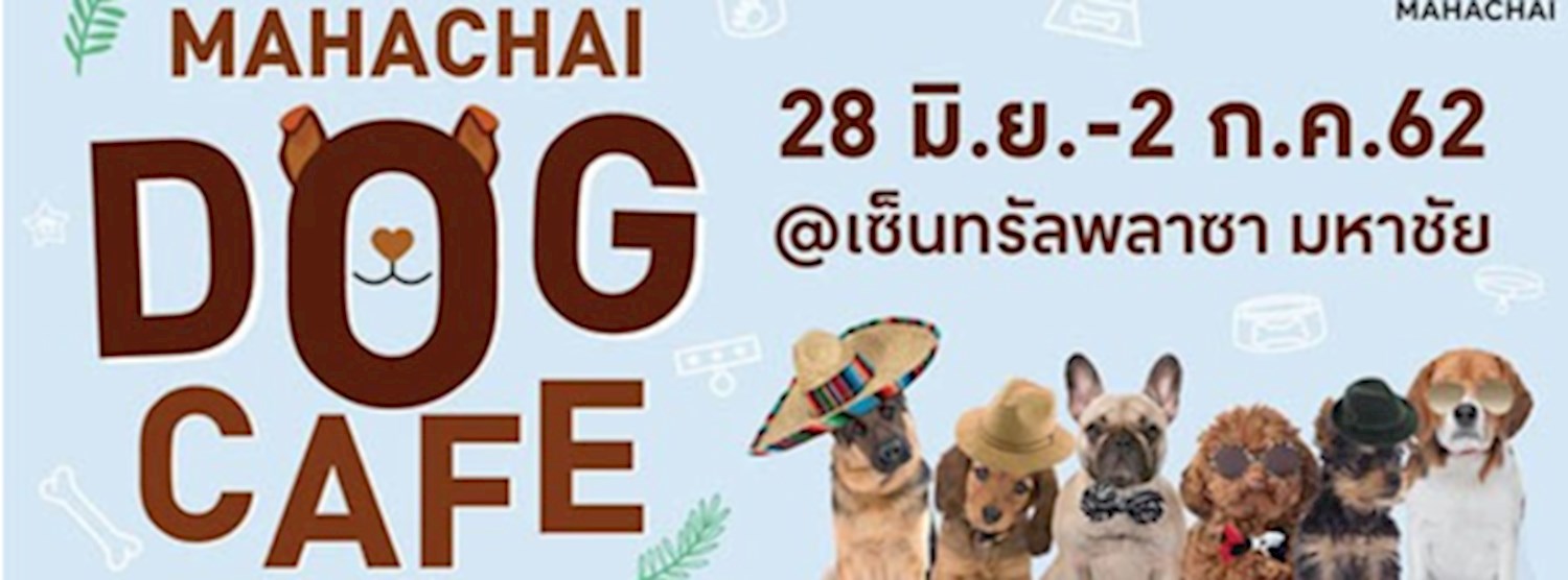 Mahachai Dog Café Zipevent