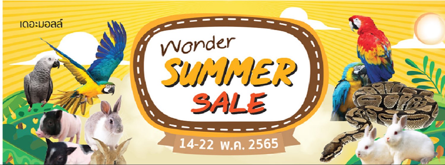 WONDER SUMMER SALE Zipevent