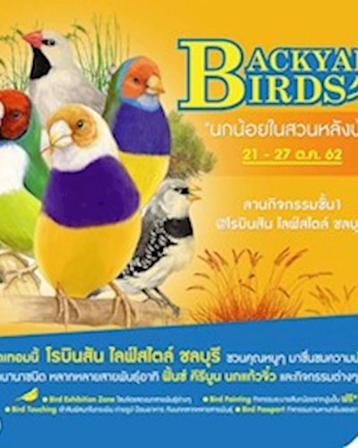 Backyard Birds Zipevent