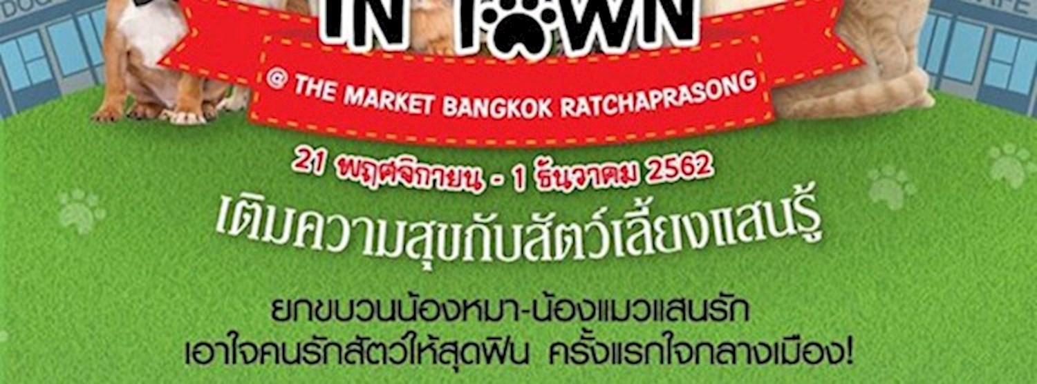 The Market Pet In Town Zipevent