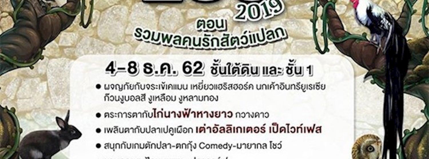 Pacific Mini Zoo 2019 Zipevent