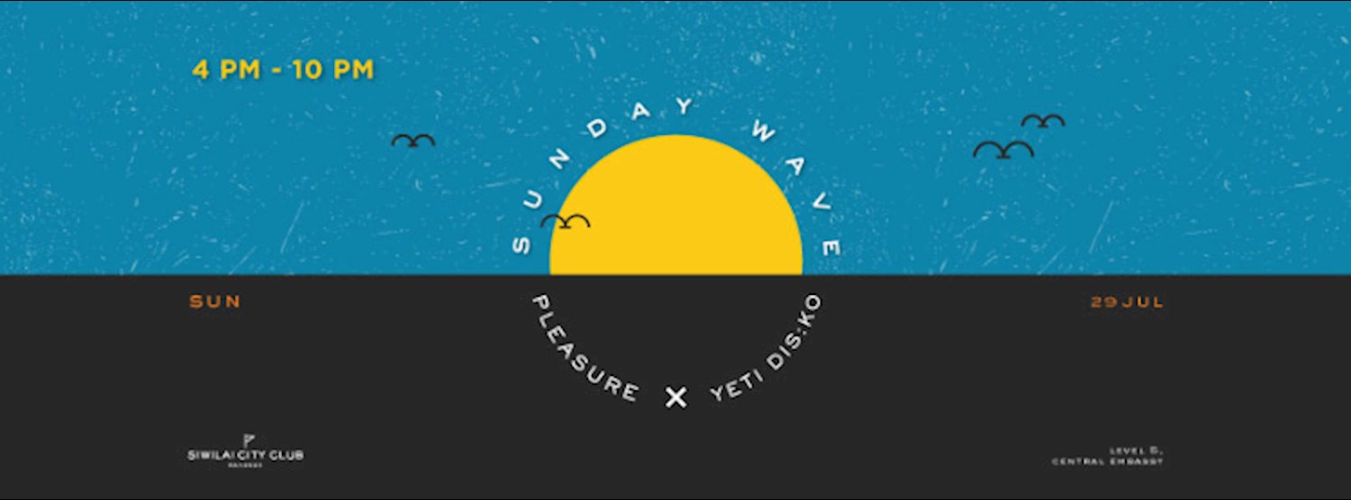 SUNDAY WAVE PLEASURE X YETI DIS:KO Zipevent