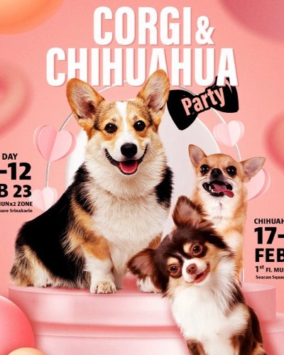 CORGI & CHIHUAHUA PARTY Zipevent