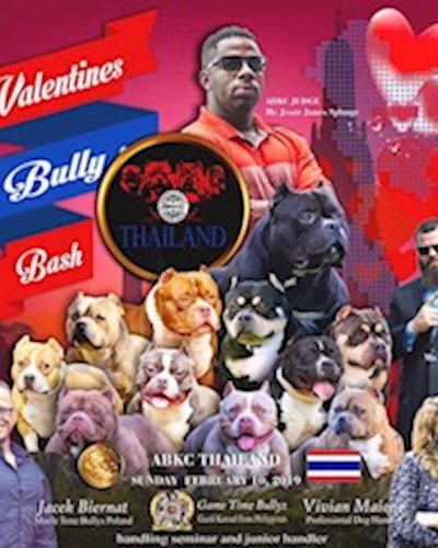 Abkc Art of Bully III Zipevent