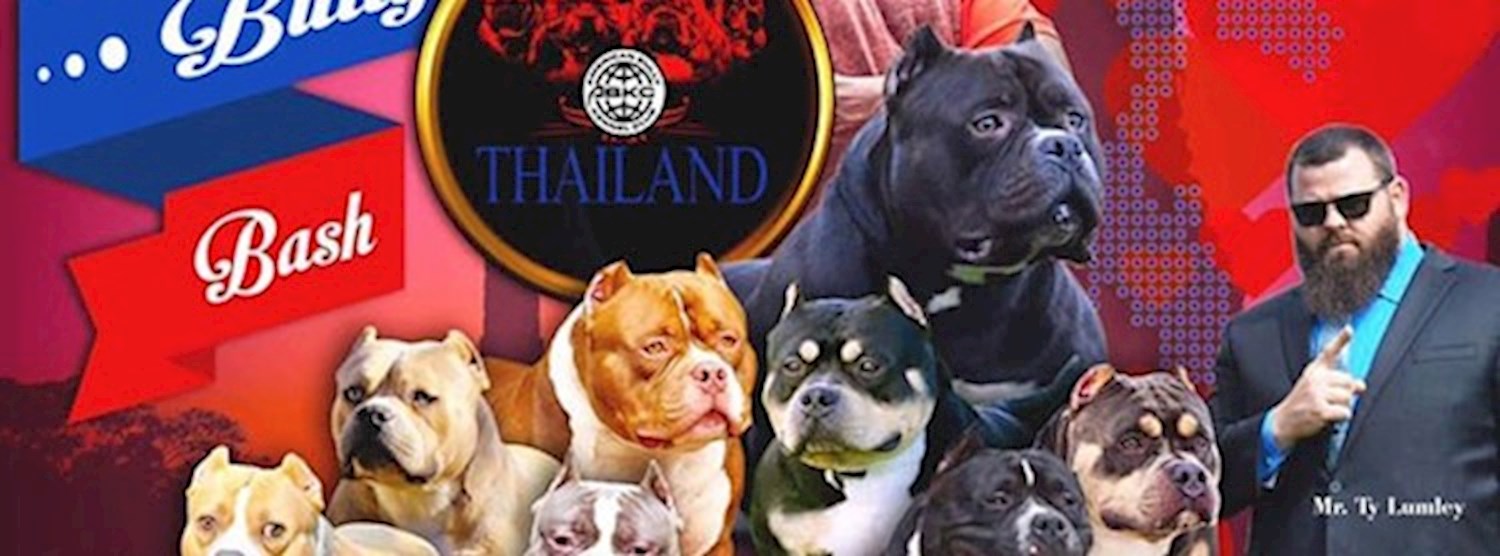 Abkc Art of Bully III Zipevent