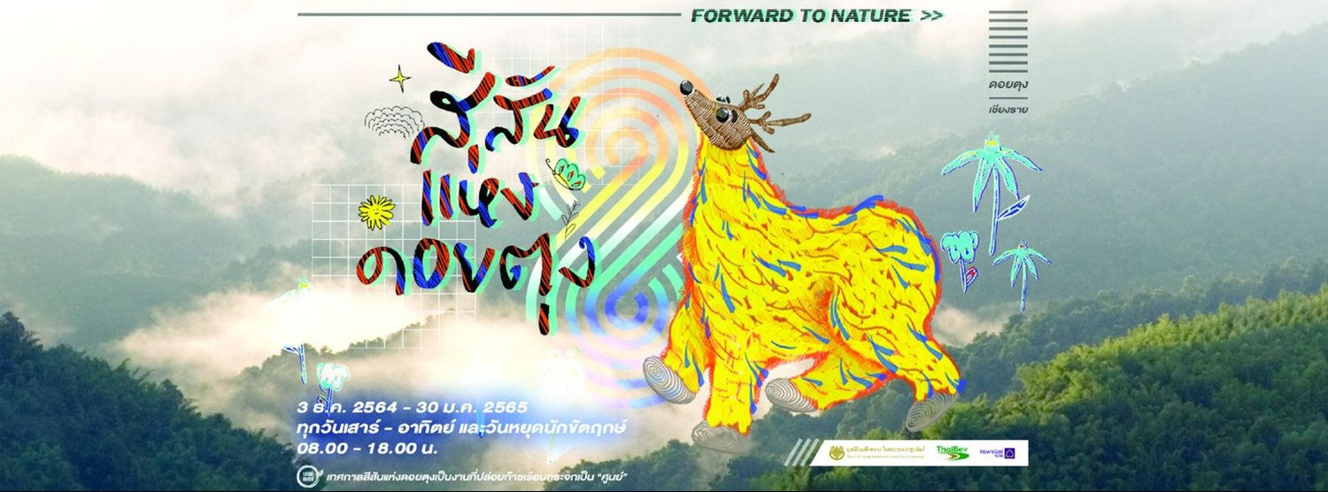 สีสันแห่งดอยตุง ครั้งที่ 8 Zipevent