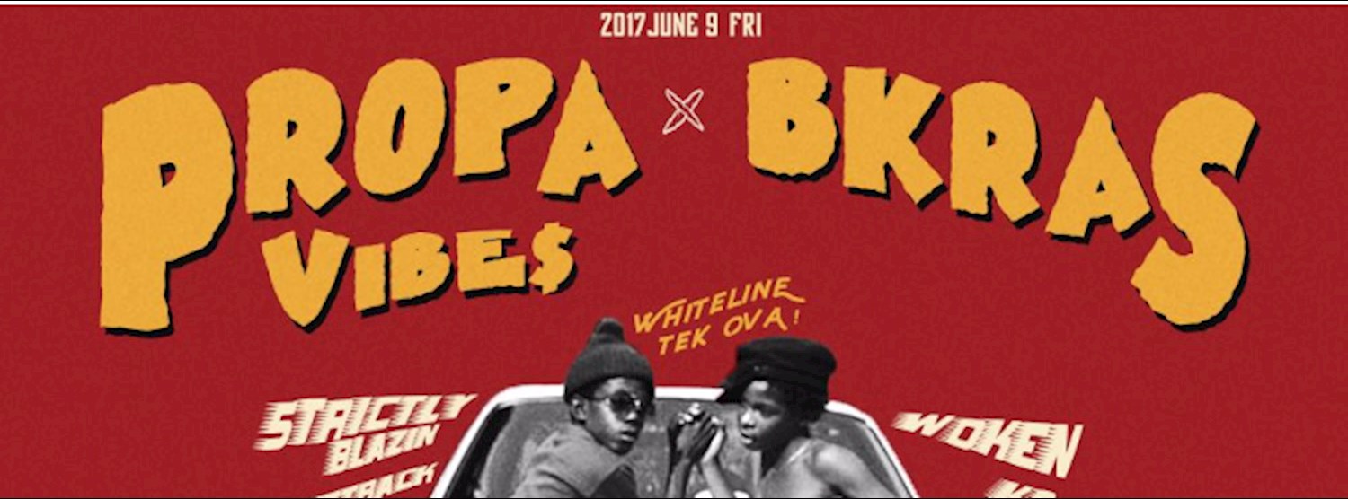 PROPA VIBE$ X BKRAS Zipevent