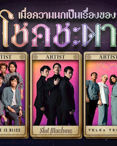 Nok Festival 3 นกเฟสติวัล ครั้งที่ 3 Zipevent