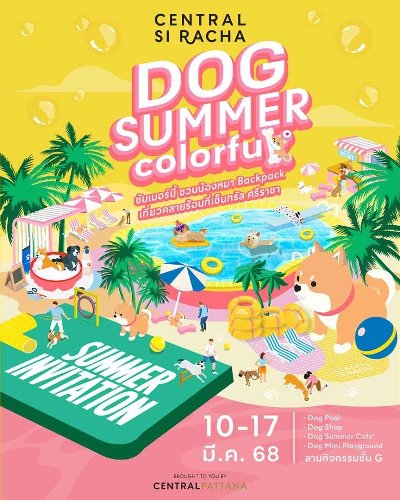 Dog Summer Colorful Zipevent