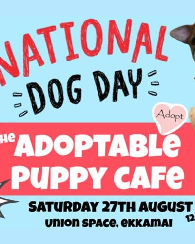World Dog Day Adoption Event Zipevent