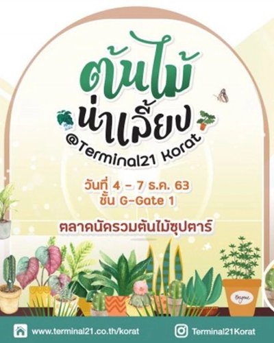 ต้นไม้น่าเลี้ยง Zipevent
