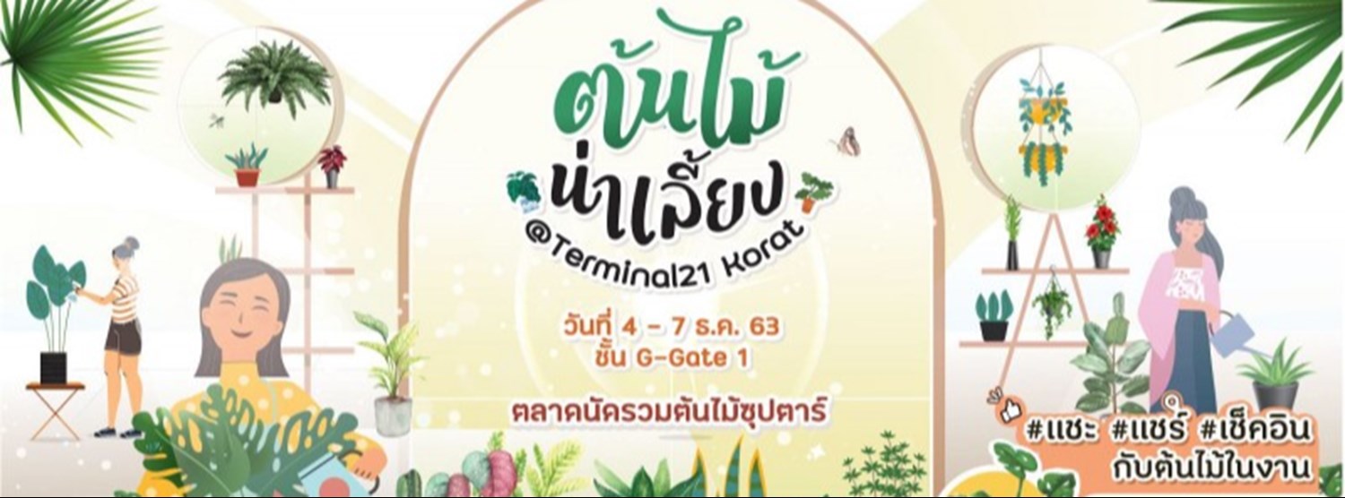 ต้นไม้น่าเลี้ยง Zipevent