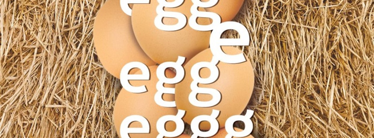 Egg E Egg Egg Zipevent