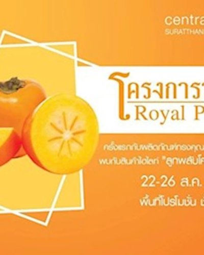 โครงการหลวง Royal Project @Central Suratthani Zipevent