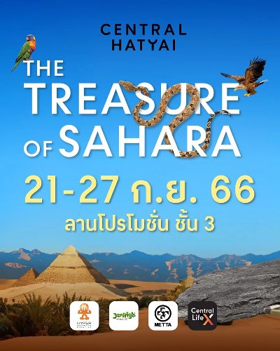 The Treasure of Sahara Zipevent