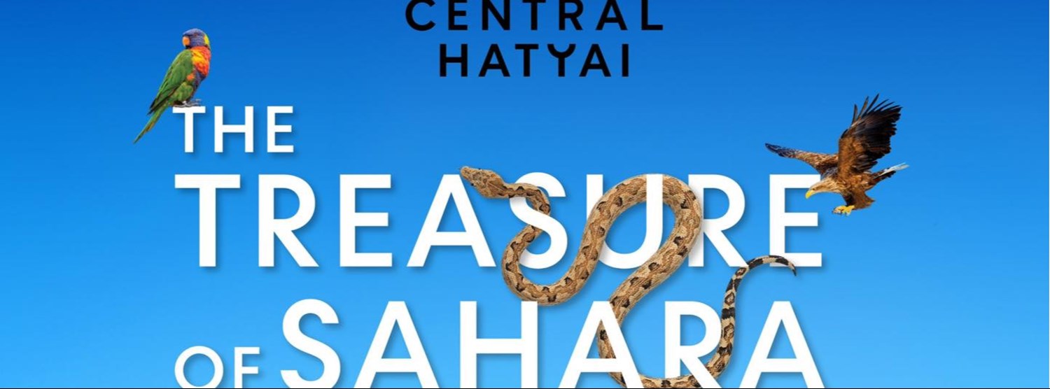 The Treasure of Sahara Zipevent