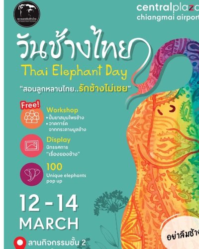 วันช้างไทย "ยกก๊วนมากวนช้าง" Zipevent