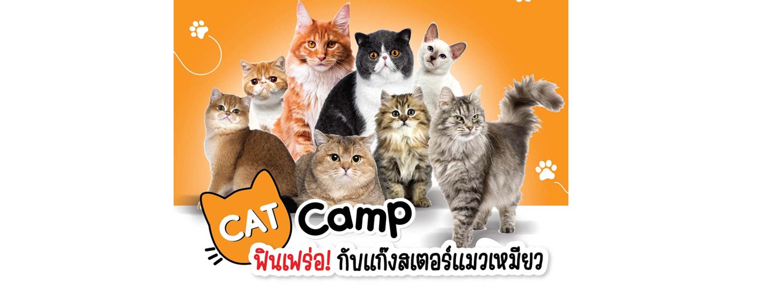 Cat Camp Zipevent