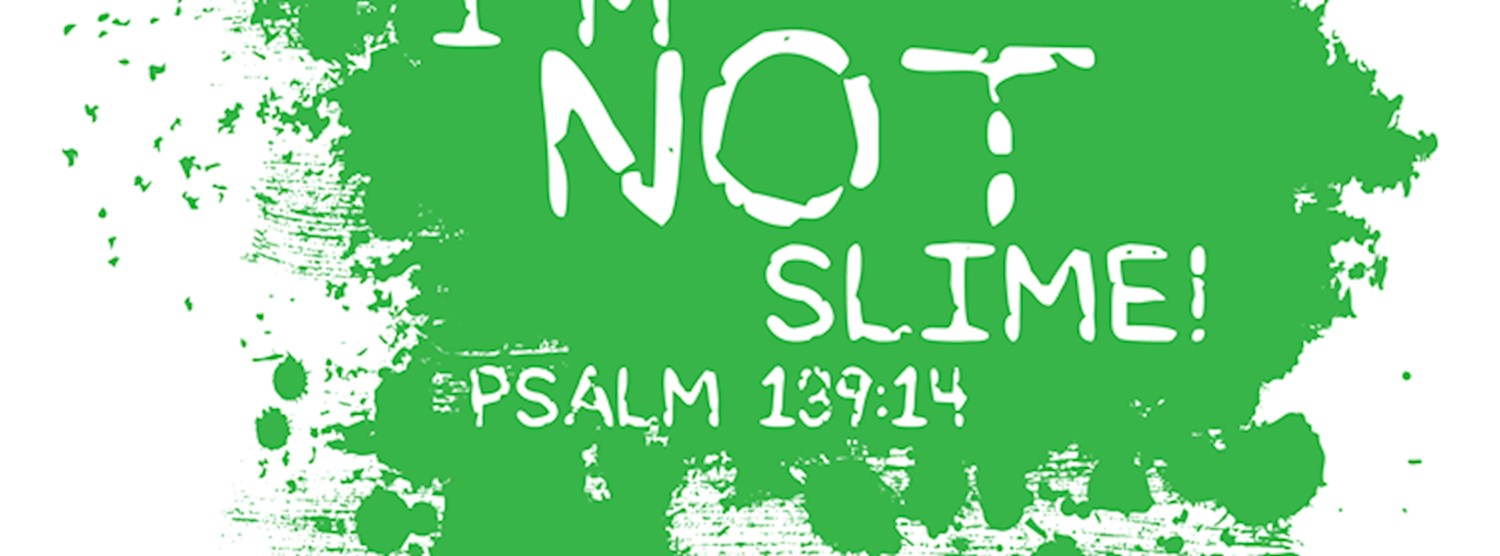 Slime Camp - "I'm NOT slime!" Zipevent