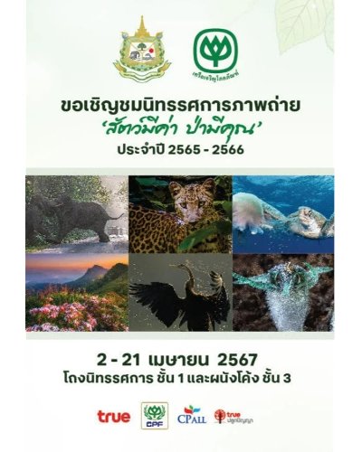 นิทรรศการภาพถ่าย 'สัตว์มีค่า ป่ามีคุณ' ประจำปี 2565-2566 Zipevent