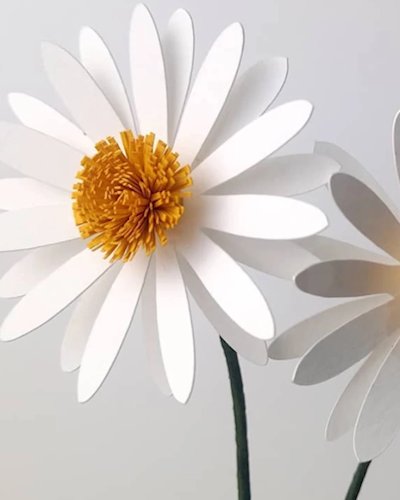 CMDW19 Workshops “Easy Paper Flowers” by OHMYCRAFT STUDIO Zipevent