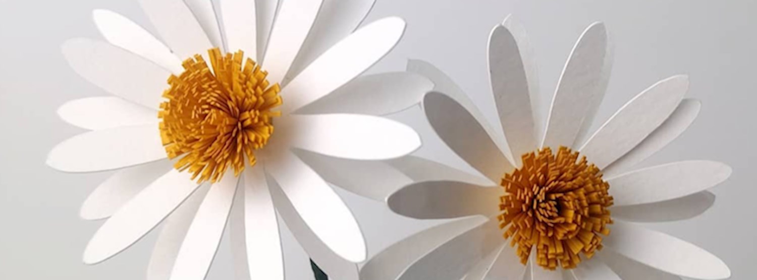 CMDW19 Workshops “Easy Paper Flowers” by OHMYCRAFT STUDIO Zipevent