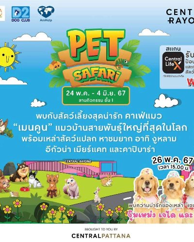 Rayong Pet Safari Zipevent