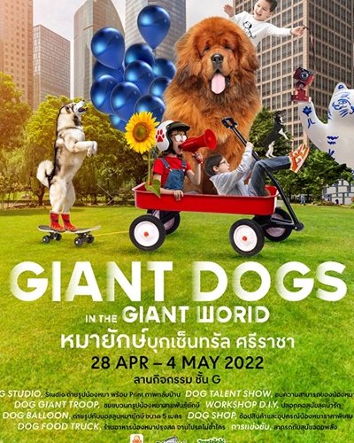 Giant Dogs Zipevent