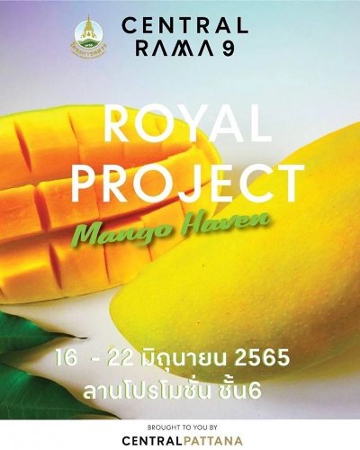 ROYAL PROJECT Mango Haven Zipevent