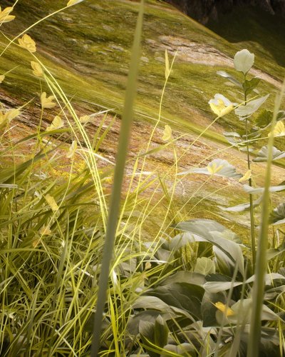 Artificial Nature " ธรรมชาติประดิษฐ์ " Zipevent