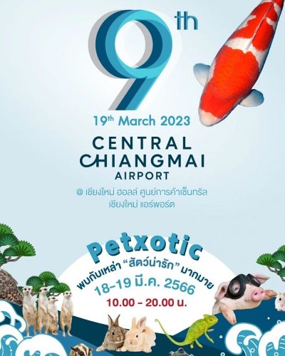 The 9th ZNA TKKG Chiangmai Mature Koi Show 2023 Zipevent