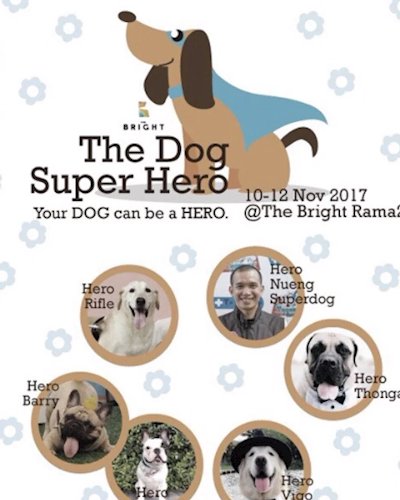 The Dog Super Hero Zipevent