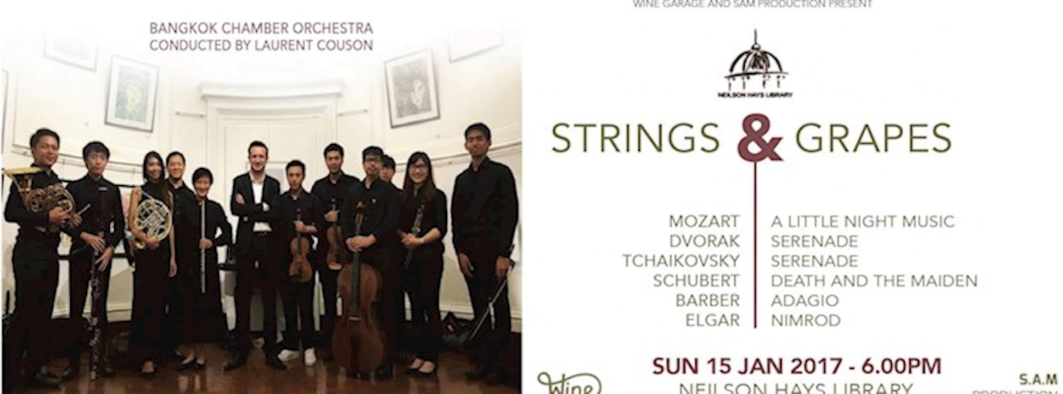 Strings & Grapes Concert Zipevent
